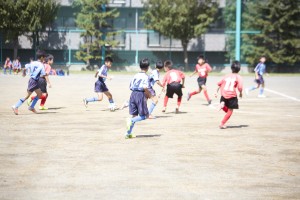 _MG_2311 2