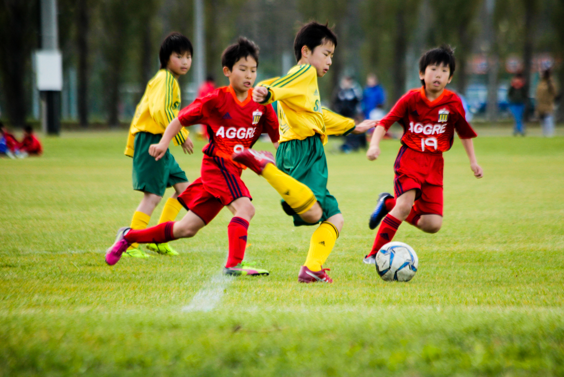 フォトギャラリー18 Savanna Cup Sapporo サバンナカップ札幌 11人制少年サッカー大会 フォトギャラリー18 Savanna Cup Sapporo サバンナカップ札幌 11人制少年サッカー大会